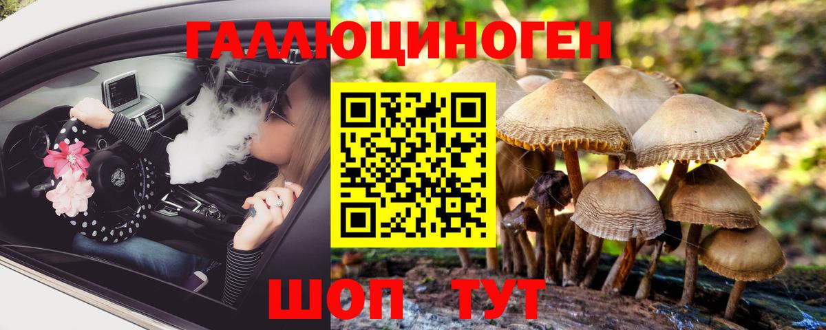Вологда  Псилоцибиновые грибы GOLDEN TEACHER  Галлюциногенные грибы мухоморы  Вход с VPN 